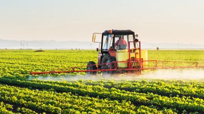 Biomimetic pesticide